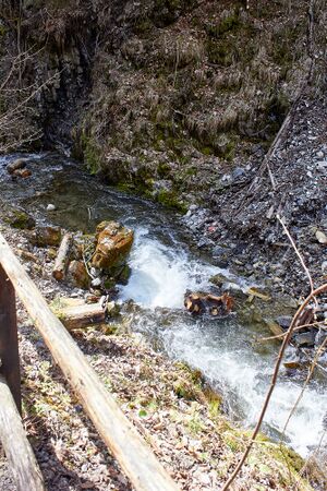 Mühlbach lessern-0315-2023-04-22.jpg