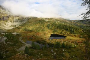 Nördl see vom griegelsee 80008 2014-09-16.jpg