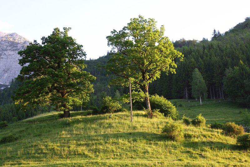 Datei:Niederstuttern 58696 2014-05-26.jpg