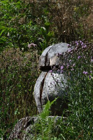 Ramsauer strasse 67067 2014-08-02.jpg