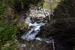 Säusenbach kleinsölk 73632 2014-10-03.jpg