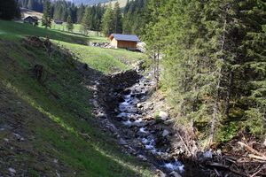 Strickerbach 55481 2014-05-02.jpg