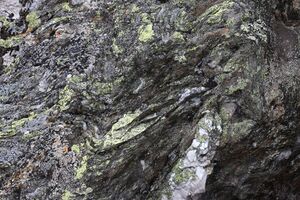 Strickerkar 55693 2014-05-02.jpg