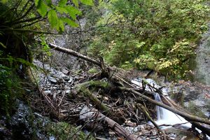 Teufelsschlucht Seewigtal 73389 2014-10-02.jpg