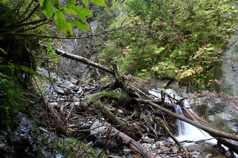 Datei:Teufelsschlucht Seewigtal 73389 2014-10-02.jpg