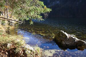 Toplitzsee 77759 2014-11-03.jpg
