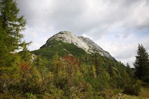 Traweng tauplitz 34508 2016-09-26.jpg