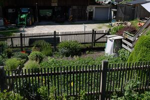 Vlg. weikl altlassing-0241-2023-06-14.jpg