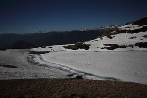 Augstsee loser 50337 2017-06-11.jpg