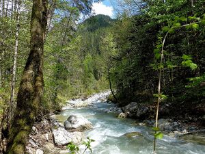 Gsenggraben mündung johnsbach.JPG