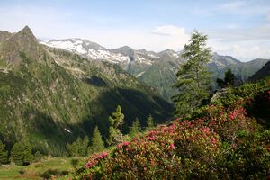 Im Hüttkar 39496 2012-06-29.jpg