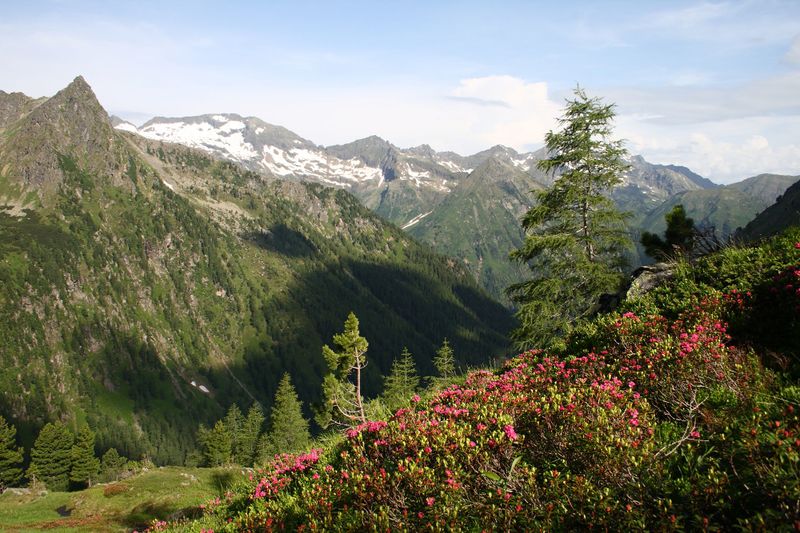 Datei:Im Hüttkar 39496 2012-06-29.jpg