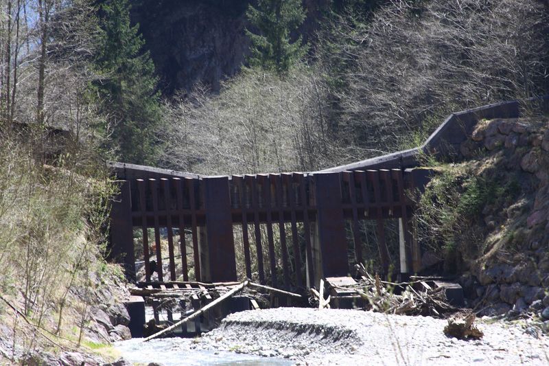 Datei:Kalte mandling034.jpg