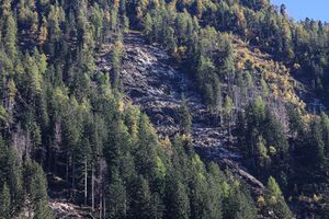 Kleinsölker tal 0705 2010-10-09.jpg