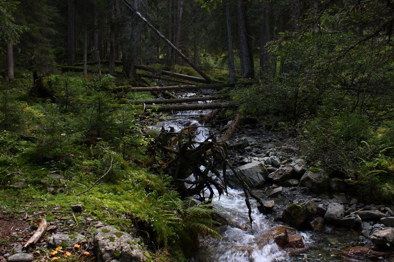 Datei:Neualmbach kleinsölk 72482 2014-09-17.jpg