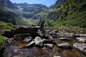 Obersee seewigtal 30326 2011-08-02.jpg