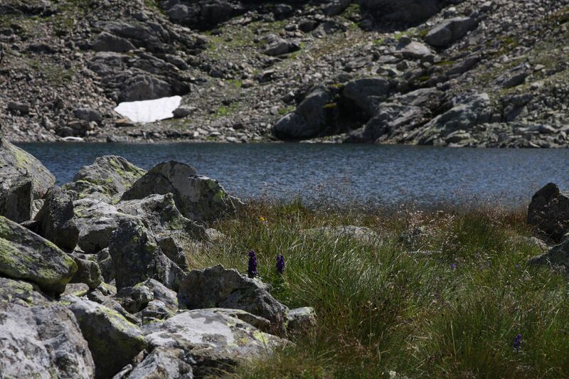 Datei:Rauenbergsee 2885 2009-08-19.jpg