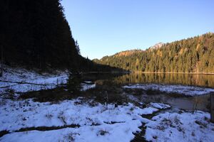 Spechtensee 62928 2017-10-31.jpg