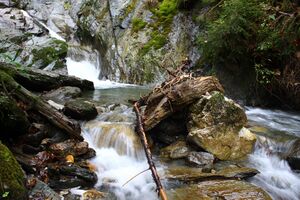 Teufelsschlucht Seewigtal 73376 2014-10-02.jpg