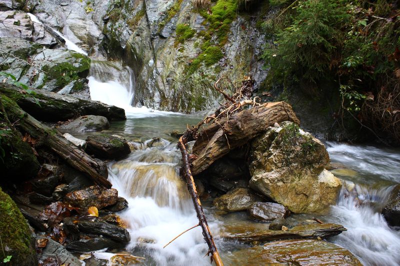 Datei:Teufelsschlucht Seewigtal 73376 2014-10-02.jpg