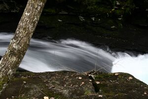 Untertalbach 7251 2007-10-04.jpg