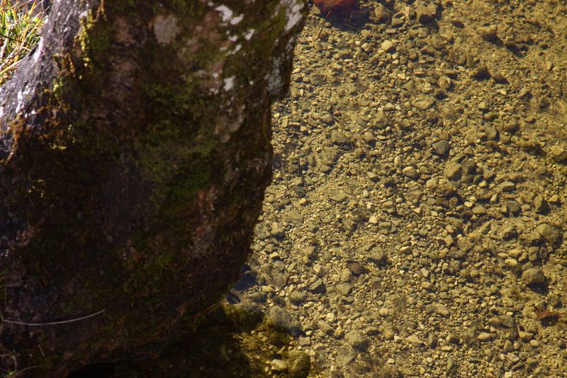 Datei:Ödensee 78046 2014-11-03.jpg