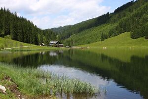 Bodensee seewigtal 63468 2014-06-21.jpg