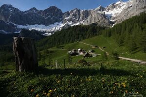 Dachstein Südwand0004.jpg