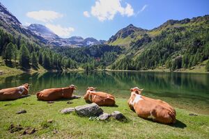 Duisitzkarsee 15110 2011-08-28.jpg