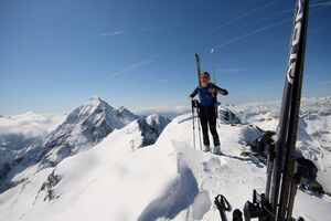 Elendberg 2696 2009-04-25.jpg