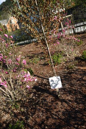 Felletin-Park (Schladming) 53363 2014-04-17.jpg