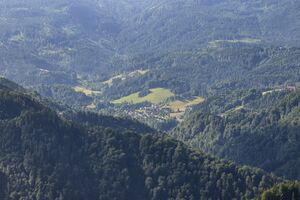 Gams bei Hieflau-Palfau-0594-2025-06-24.jpg