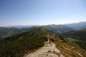 Goldbachsee 1651 13-08-05.jpg