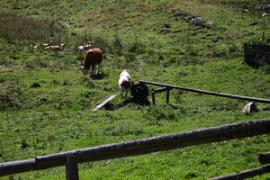 Harmeralm kleinsölk 72611 2014-09-17.jpg