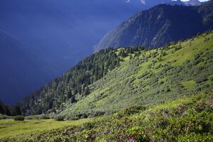 Hopfgarteneben 94865 2015-07-11.jpg