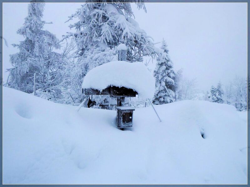 Datei:Kl. Bosruck 1466m 03.12.23-033.JPG