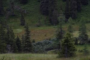 Knallkar großsölk 55635 2016-08-17.jpg