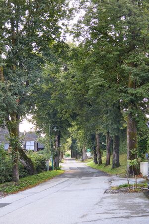 Lindenallee Irdning-018-2026-08-08.jpg