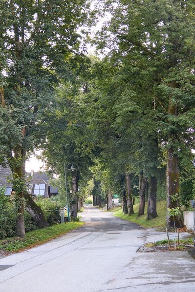 Datei:Lindenallee Irdning-018-2026-08-08.jpg