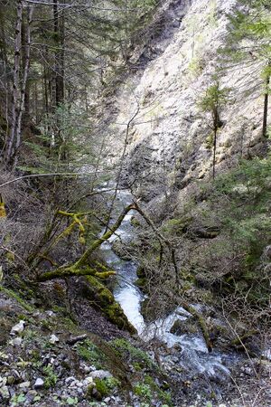 Mühlbach lessern-0181-2023-04-22.jpg