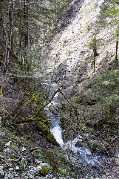 Datei:Mühlbach lessern-0181-2023-04-22.jpg