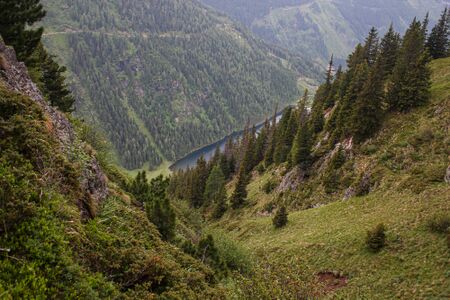 Obere kaltenbachalm-30-2011-06-10.jpg