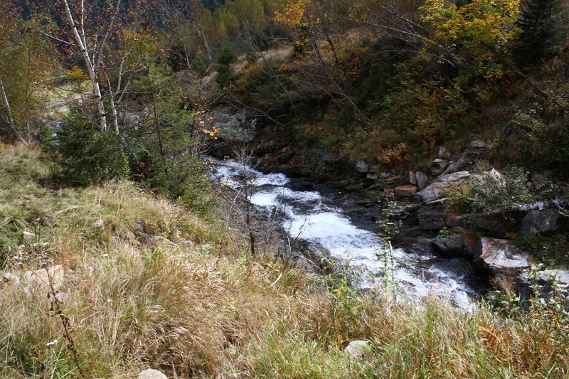 Datei:Säusenbach kleinsölk 73585 2014-10-03.jpg