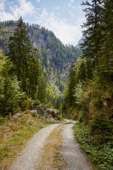 Datei:Schalenkogel hartelsgr-0462-2021-06-05.jpg