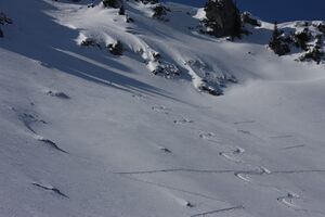 Steinkarhöhe-auritzkar 82999 2015-03-15.jpg