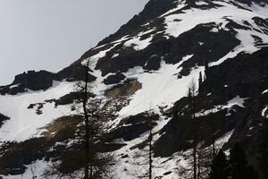 Strickerkar 55694 2014-05-02.jpg