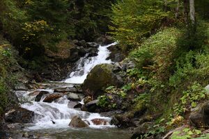 Teufelsschlucht Seewigtal 73323 2014-10-02.jpg