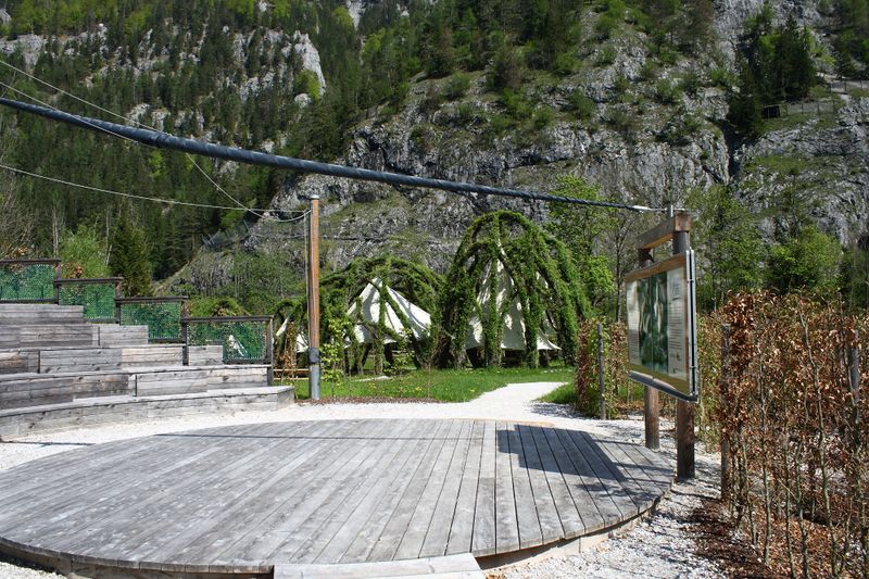 Datei:Weidendom gesäuse 56965 2014-05-05.jpg