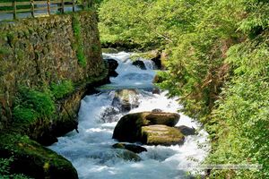2025 06 22 Schladming Talbachklamm Wanderung 28.jpg