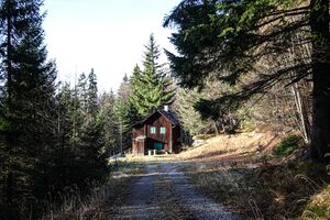 Am stutterner berg 37330 2016-11-23.jpg